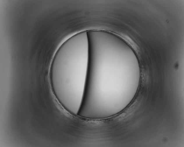 X0000100411044200806060921