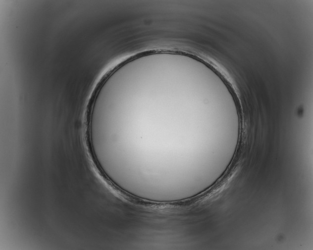 X0000100411045200806060921