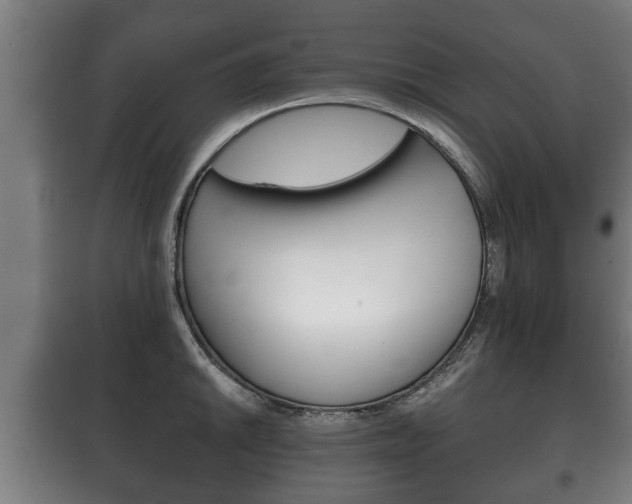 X0000100411046200806060921