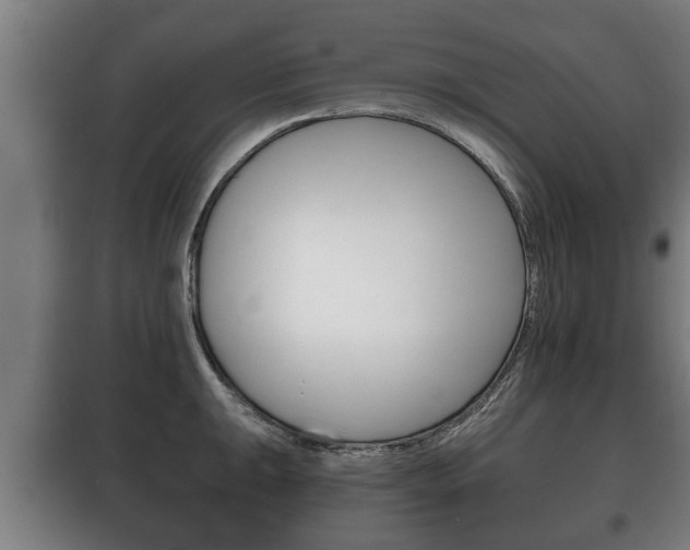 X0000100411047200806060921