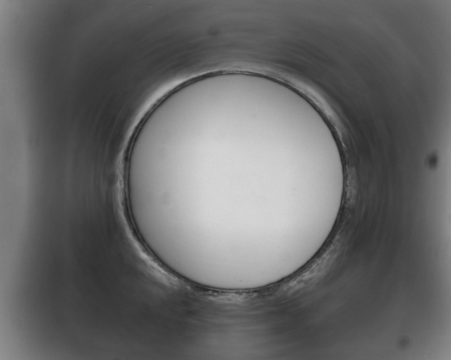 X0000100411048200806060921
