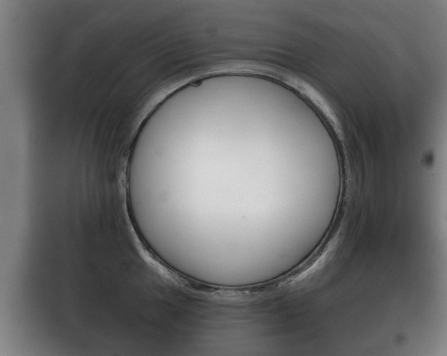 X0000100411049200806060921