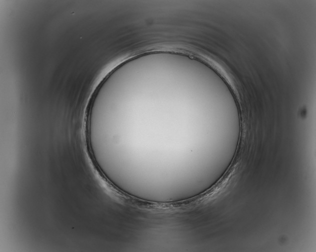 X0000100411050200806060921