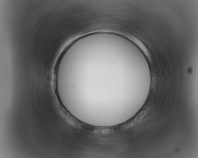X0000100411051200806060921