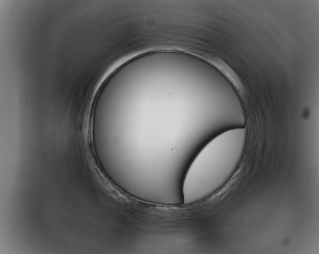 X0000100411052200806060921