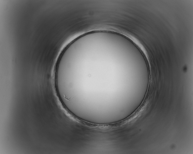 X0000100411053200806060921