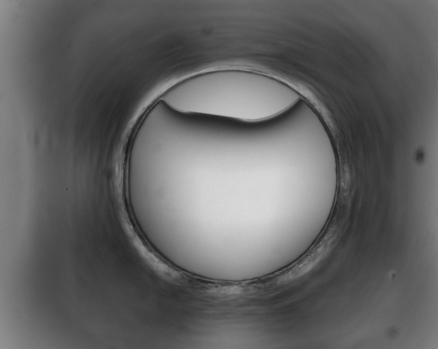 X0000100411054200806060921