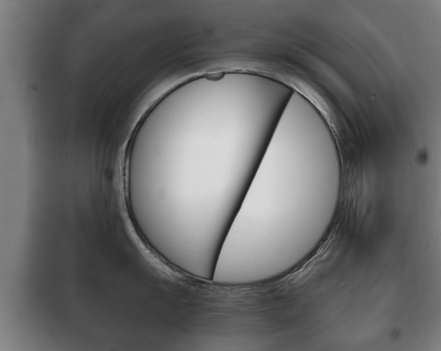 X0000100411055200806060921