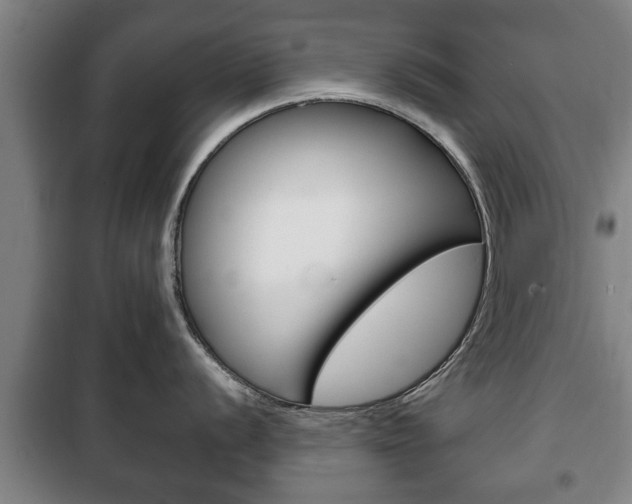 X0000100411056200806060921