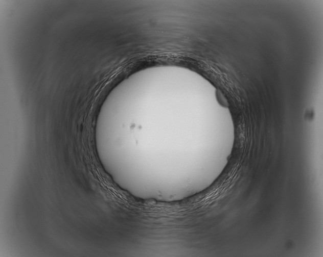 X0000100411057200806060920