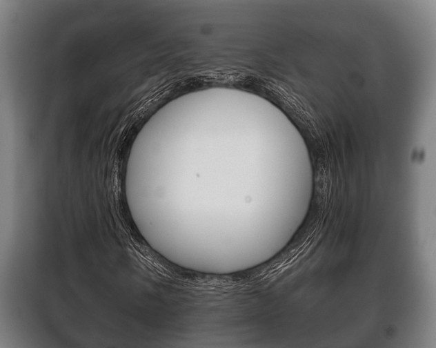 X0000100411058200806060920