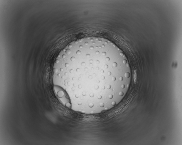 X0000100411059200806060920