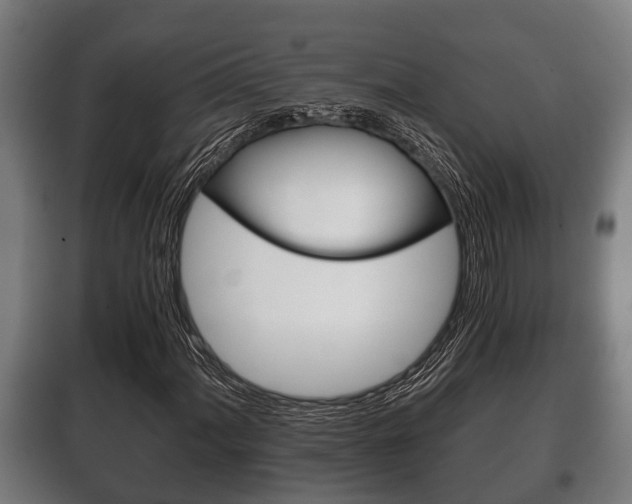 X0000100411060200806060920