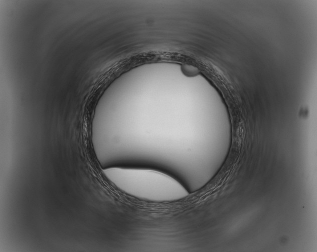 X0000100411062200806060920