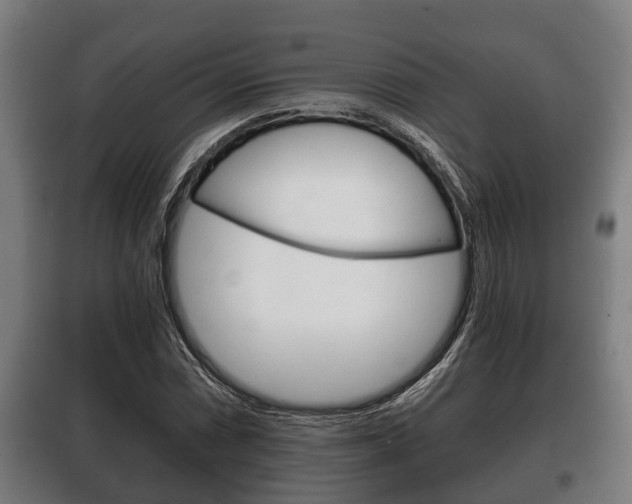X0000100411066200806060920