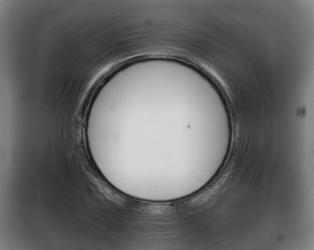 X0000100411067200806060920
