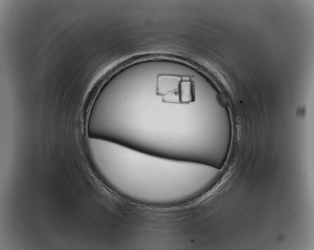 X0000100411069200806060920