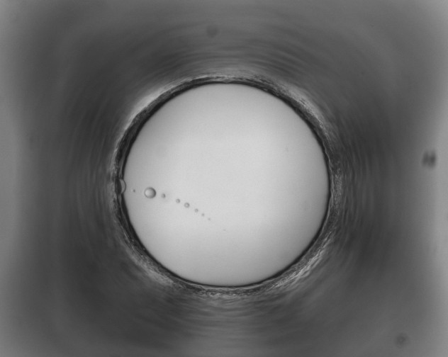 X0000100411071200806060920