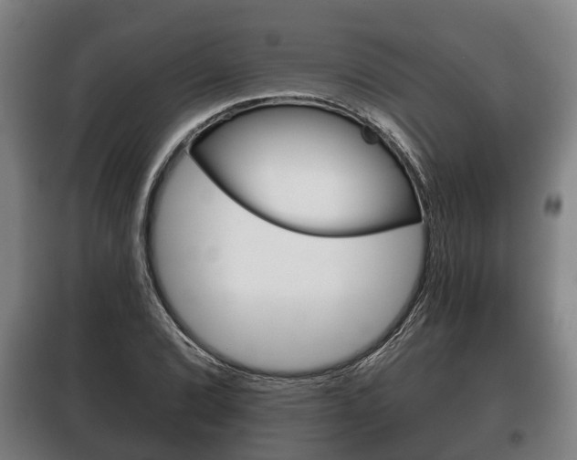 X0000100411072200806060920