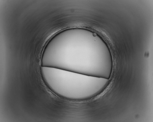 X0000100411073200806060920