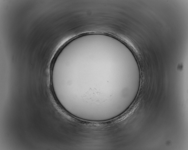 X0000100411079200806060920