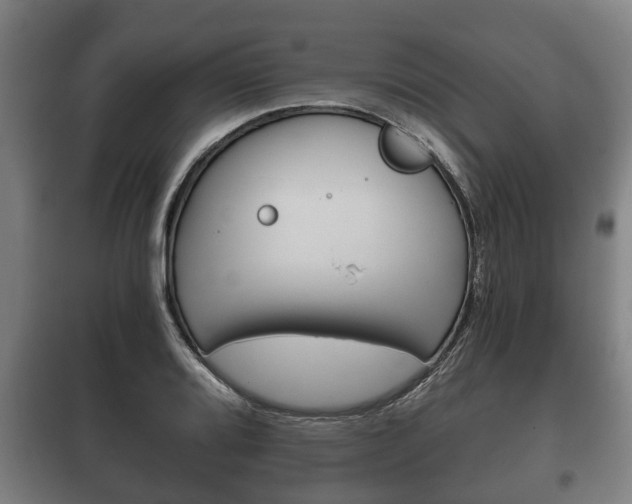 X0000100411080200806060920