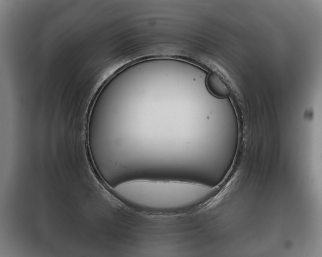 X0000100411081200806060920