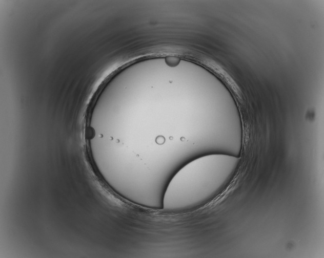 X0000100411083200806060920
