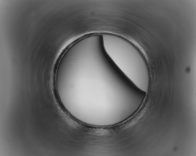 X0000100411085200806060920