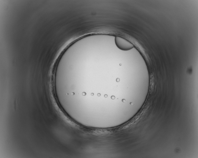 X0000100411091200806060920
