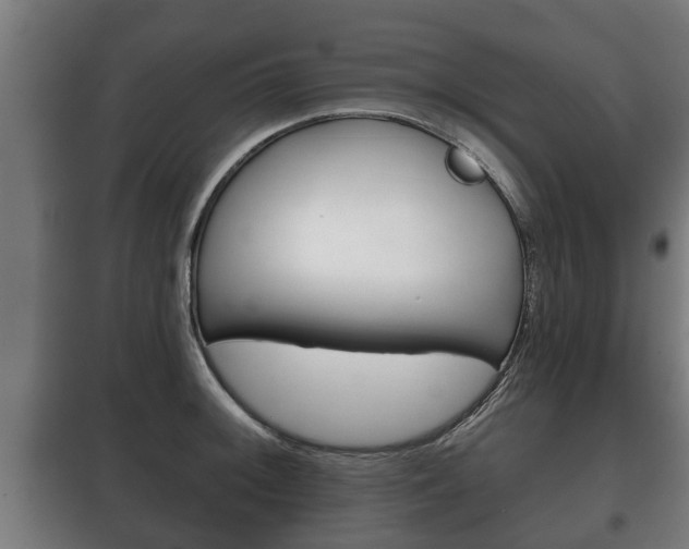 X0000100411092200806060920