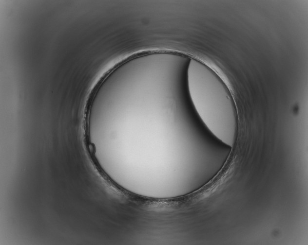 X0000100411093200806060920