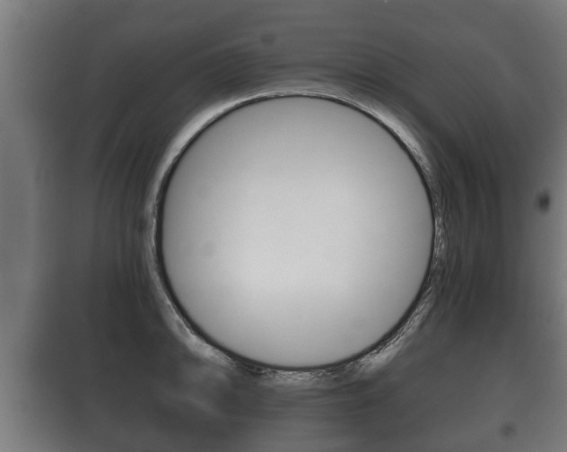 X0000100411094200806060920