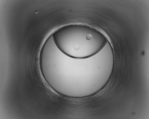 X0000100411096200806060920