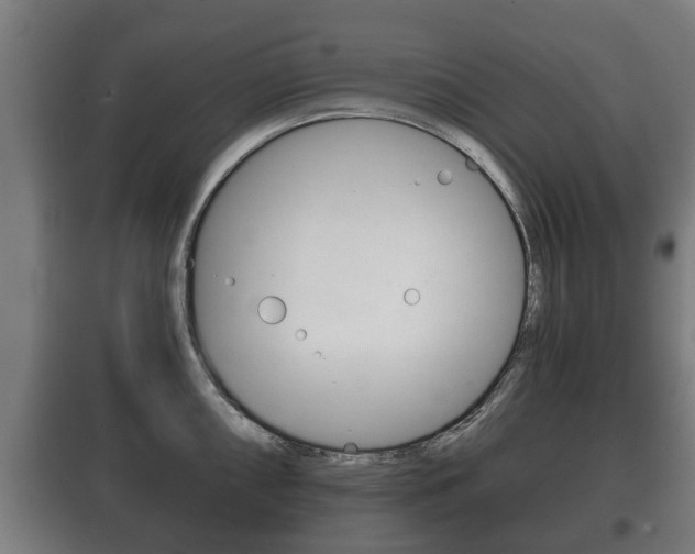 X0000100411098200806060919