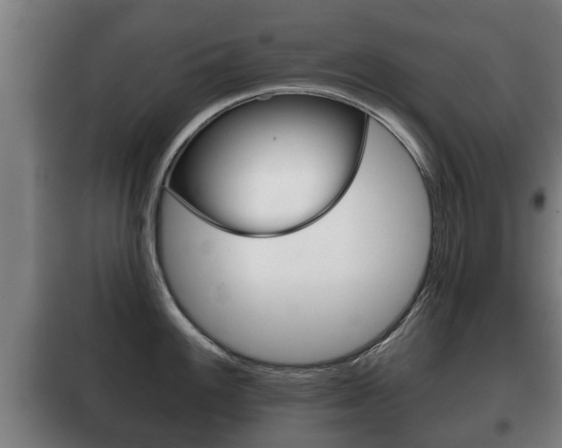 X0000100411100200806060919