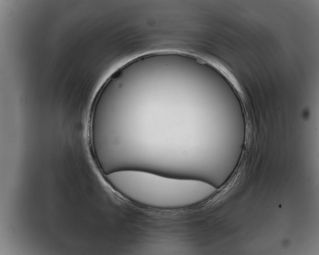 X0000100411101200806060919