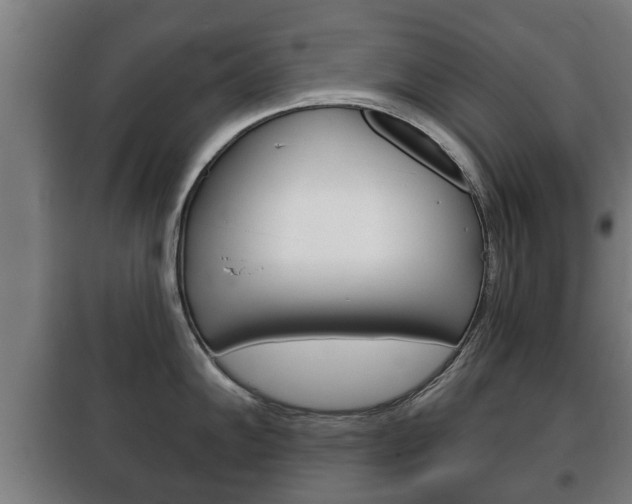 X0000100411102200806060919