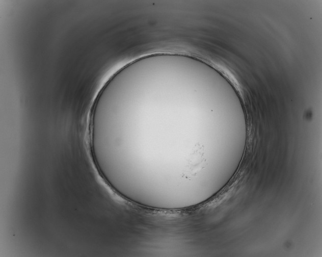 X0000100411103200806060919