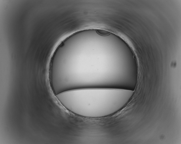 X0000100411104200806060919