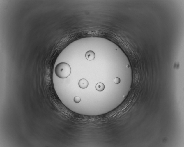 X0000100411106200806060919