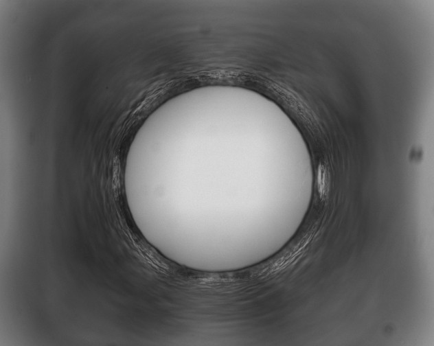 X0000100411107200806060919