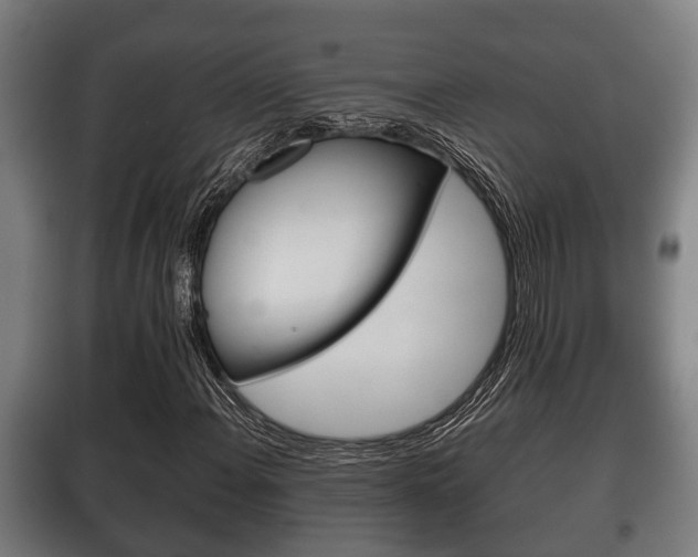 X0000100411108200806060919
