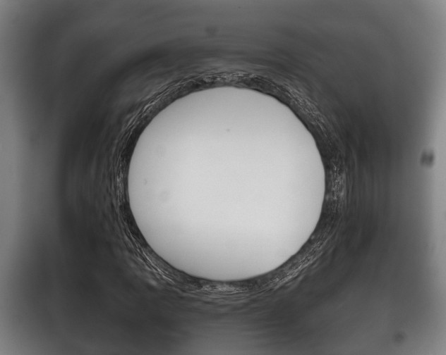 X0000100411109200806060919