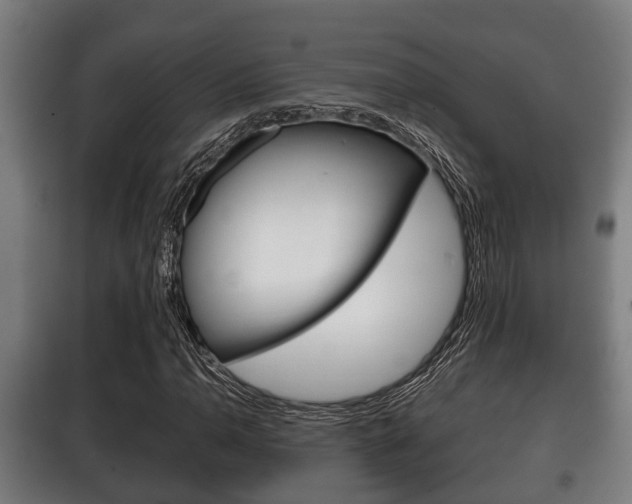 X0000100411110200806060919