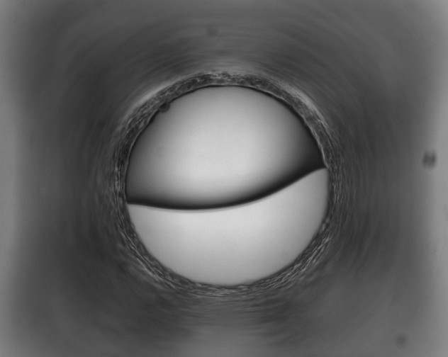 X0000100411112200806060919