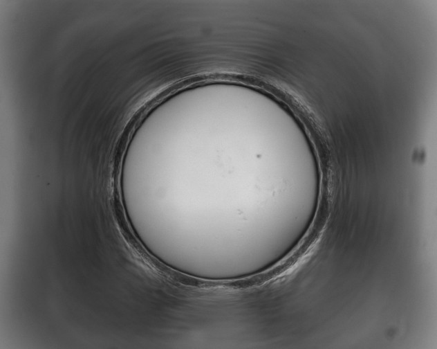 X0000100411113200806060919