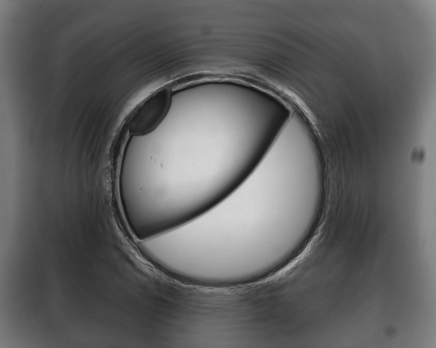 X0000100411114200806060919