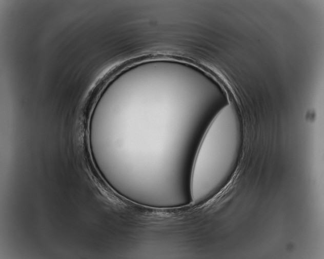 X0000100411115200806060919