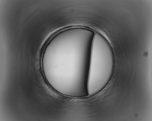 X0000100411116200806060919